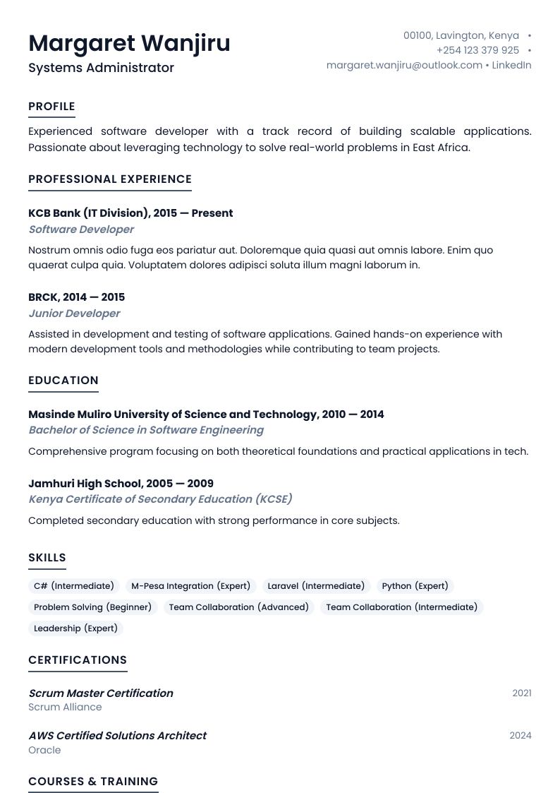 Clean Professional CV Template
