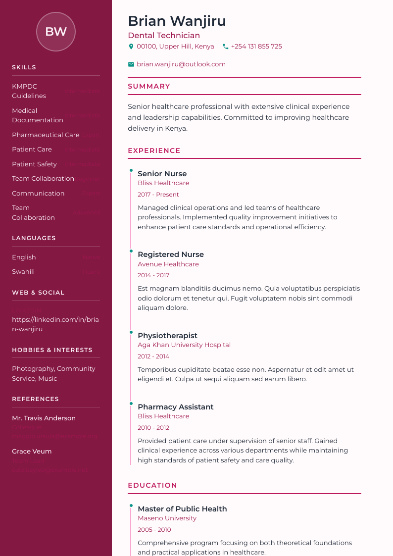 Professional Timeline CV Template