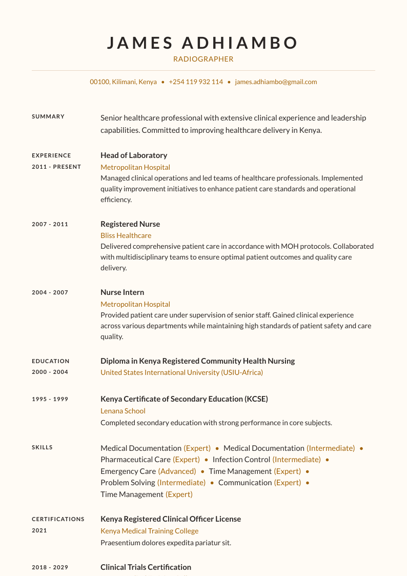 Traditional CV Template