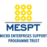 Micro Enterprises Support Programme Trust (MESPT)