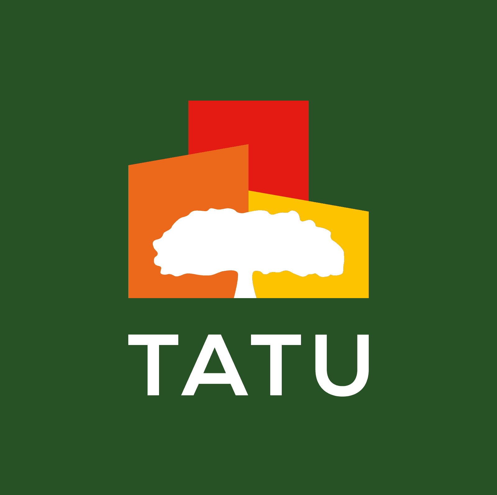 Tatu City Limited