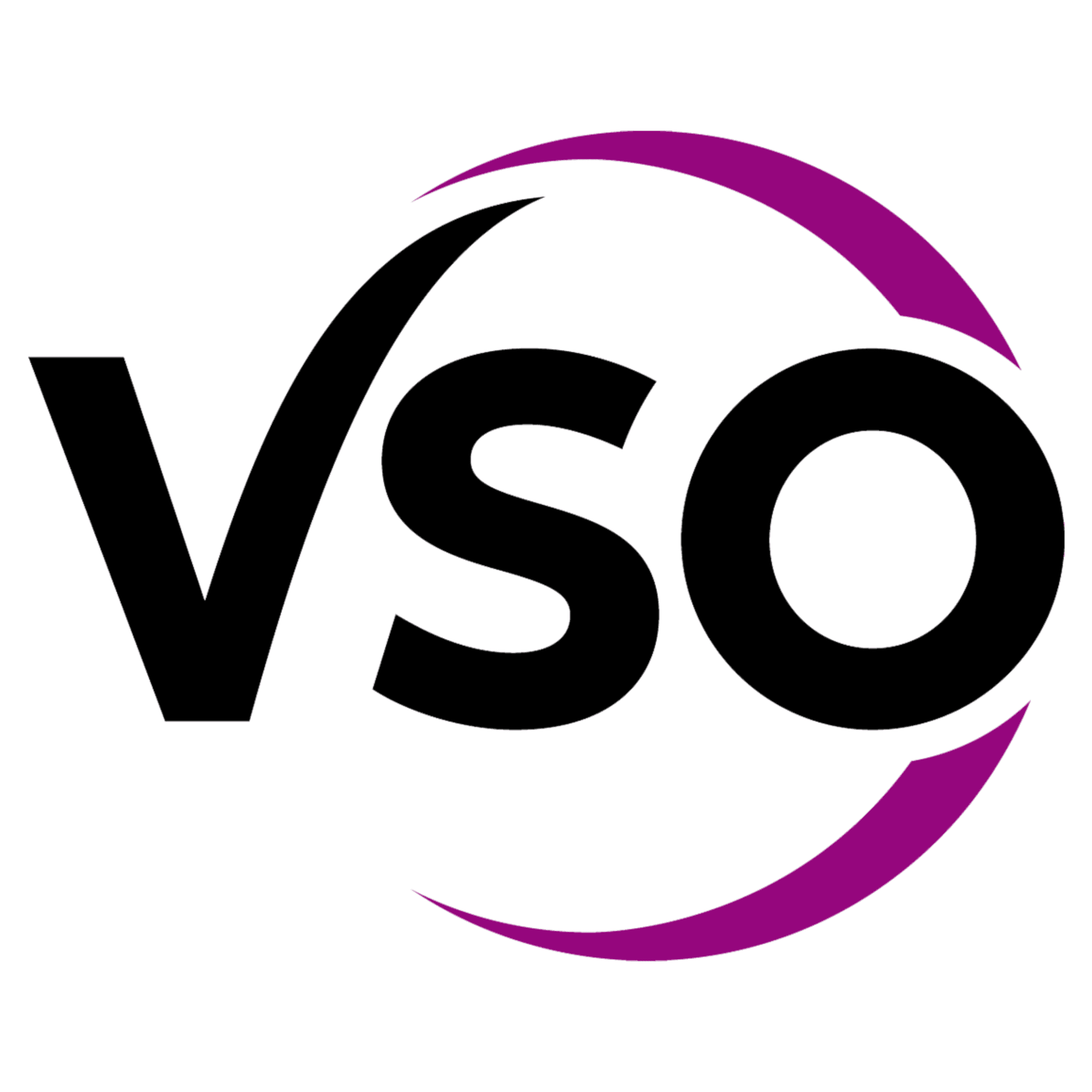 VSO  International
